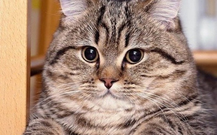 Zbiórka Na spełnianie swoich pasji - zdjęcie główne