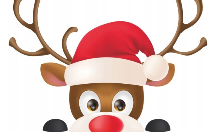 Zbiórka Gwiazdka dla Babci i Dziadka - zdjęcie główne