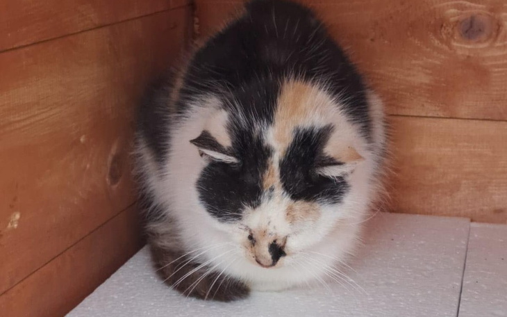 Zbiórka Nie zostawiajmy jej na noc - zdjęcie główne