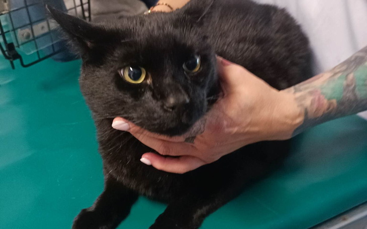 Zbiórka Niewidzialni, porzuceni są obok - zdjęcie główne