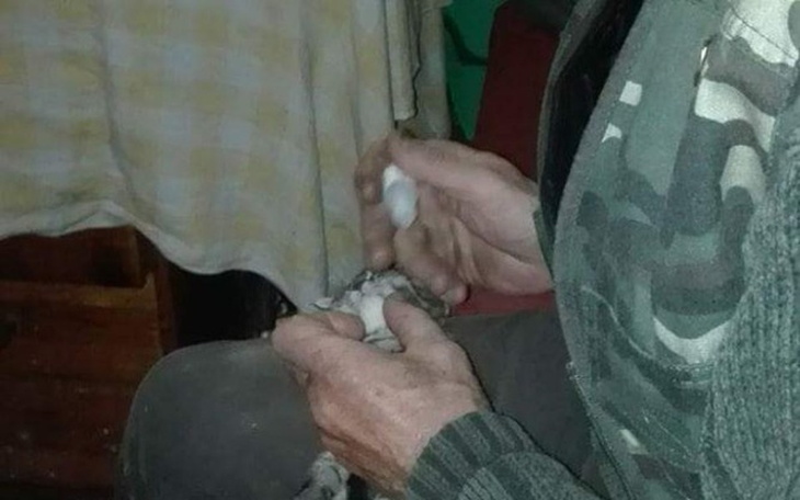 Zbiórka Pan Piotr jak św. Franciszek - zdjęcie główne