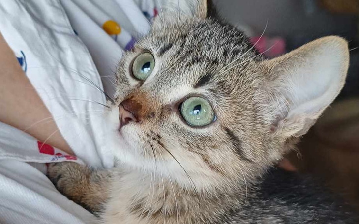 Zbiórka Na zdrowy start dla Misi - zdjęcie główne