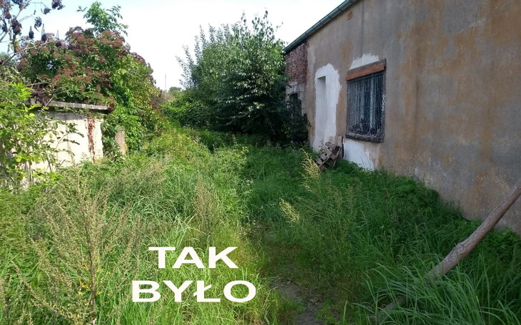 Zbiórka Woliera dla kotów z Przytuliska - zdjęcie główne