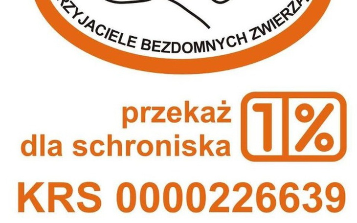 Zbiórka pieniadze dla schroniska medor - zdjęcie główne