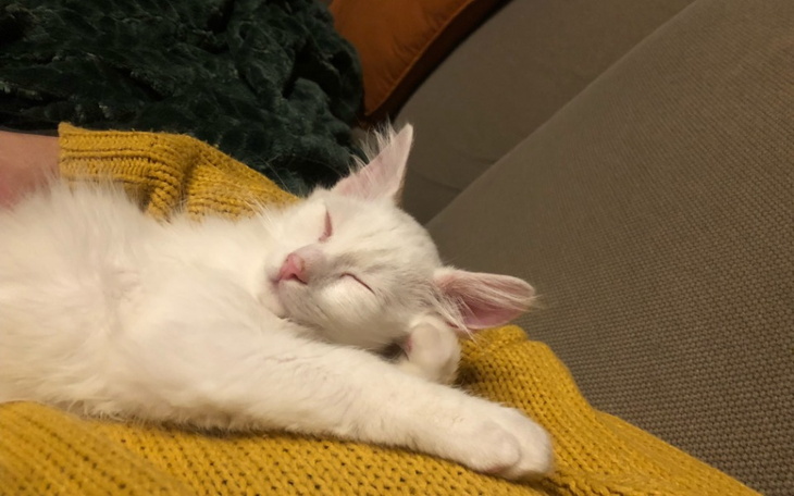 Zbiórka Sokrates walczy o życie - zdjęcie główne