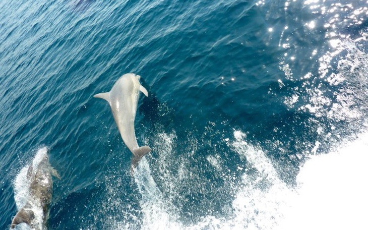 Zbiórka Ucieczka do raju - zdjęcie główne