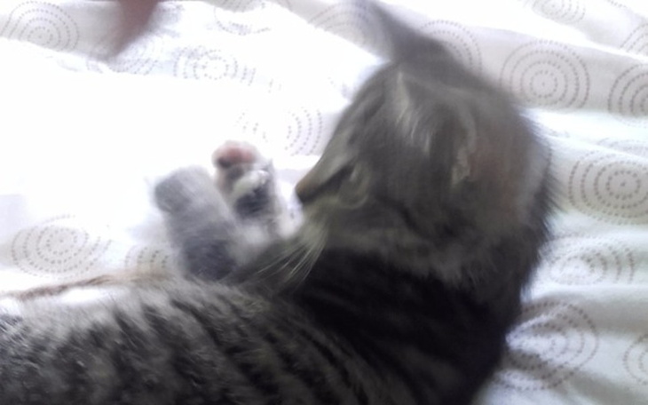 Zbiórka Na leczenie Maciusia - zdjęcie główne