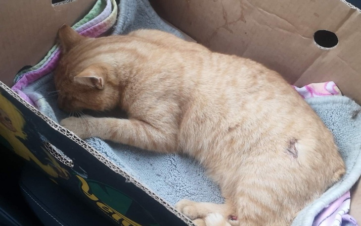 Zbiórka Dla Rudaska po wypadku - zdjęcie główne