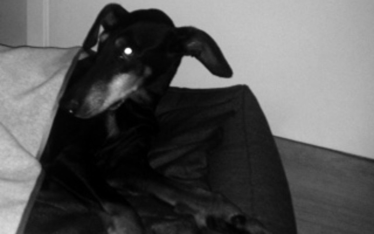 Zbiórka Leczenie Sigmy - zdjęcie główne