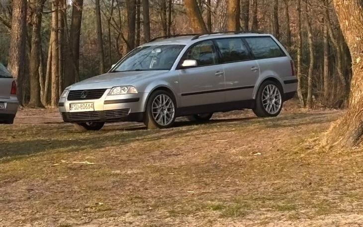 Srebrny samochód zaparkowany w lesie, otoczony drzewami.