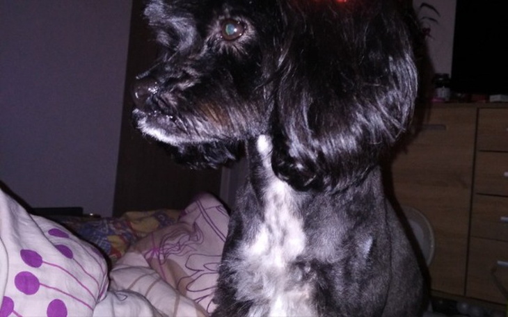 Zbiórka Rezonans dla Dumeczki - zdjęcie główne