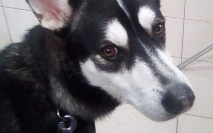 Zbiórka Pomoc na leczenie Alexa. - zdjęcie główne