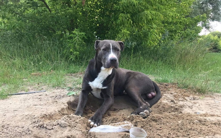 Zbiórka Na start w drodze ku lepszemu - zdjęcie główne