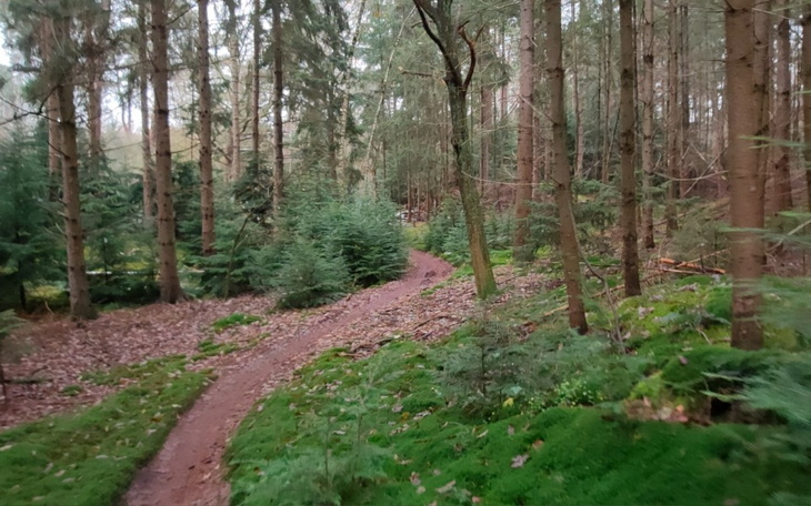 Zbiórka Wejdź zobacz, pomóż - zdjęcie główne