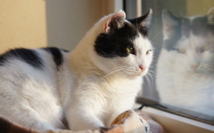 Zbiórka Mruczarnia – październik - zdjęcie główne