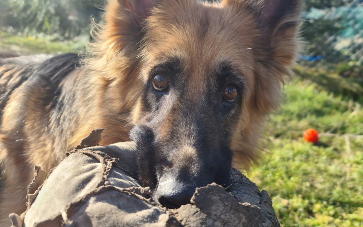 Zbiórka Kanał na YouTube - zdjęcie główne