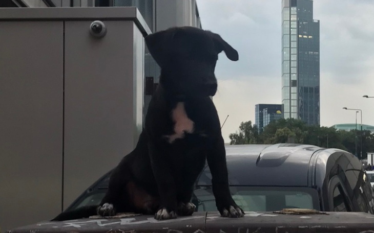 Zbiórka Seksuolog - zdjęcie główne