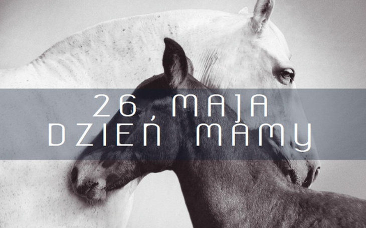 Zbiórka 1 za 1 z okazji Dnia Mamy - zdjęcie główne