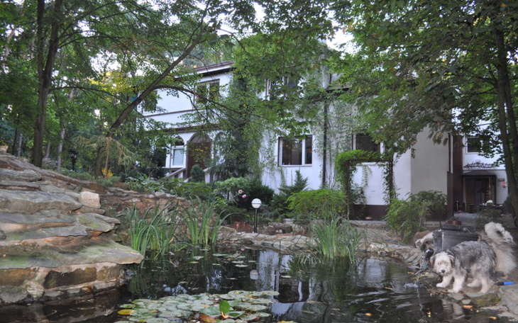 Zbiórka MONAR SOKOLNIKI -Nie dla COVIDA - zdjęcie główne