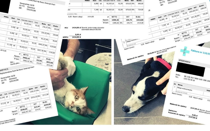 Zbiórka Noworoczne wsparcie interwencji - zdjęcie główne