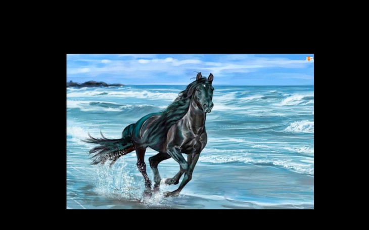 Zbiórka Zbieram na jazdy konnee - zdjęcie główne