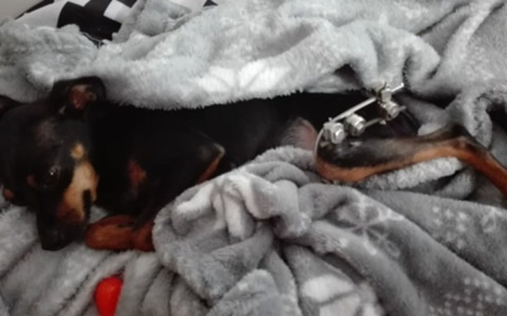 Zbiórka Operacja Niki - zdjęcie główne