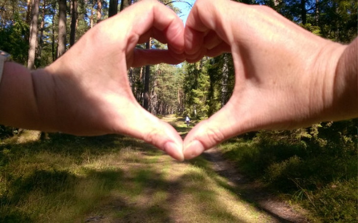 Zbiórka kolonie socjoterapeut. Andżeliki - zdjęcie główne