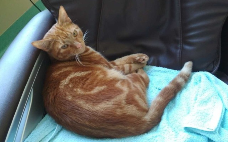 Zbiórka Na operację Puszka - zdjęcie główne