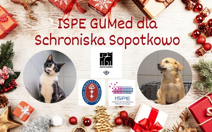 Zbiórka ISPE dla Schroniska Sopotkowo - zdjęcie główne