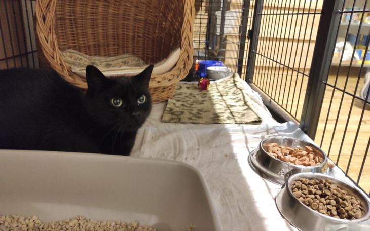 Zbiórka KSB dług sierpień 2020 - zdjęcie główne