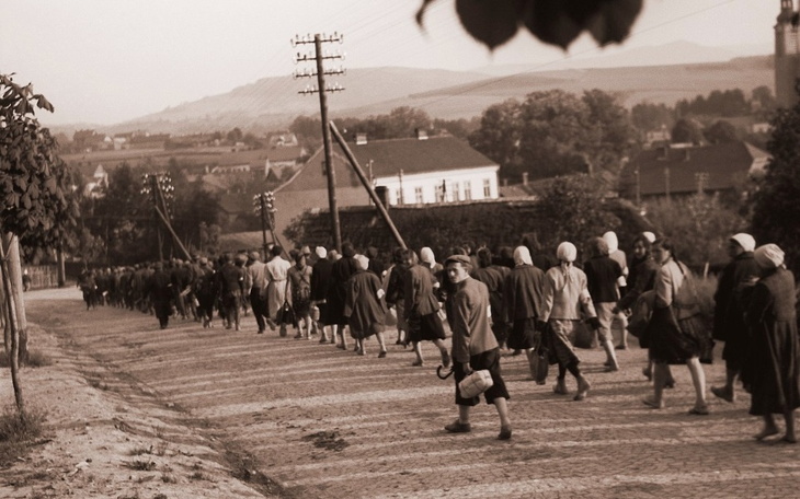 Zbiórka Pomnik w Limanowej - zdjęcie główne