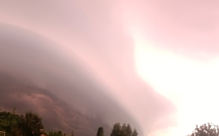 Zbiórka Na nasz nowy ładny dom - zdjęcie główne