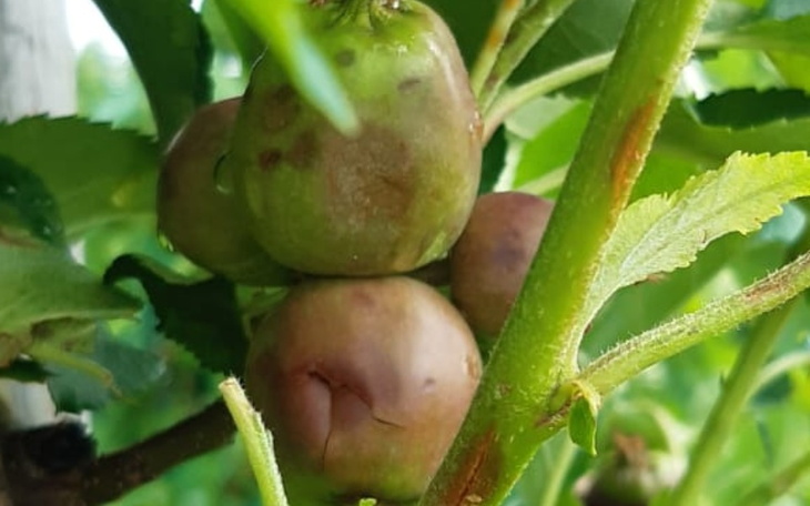 Zbiórka Na przetrwanie następnego roku - zdjęcie główne