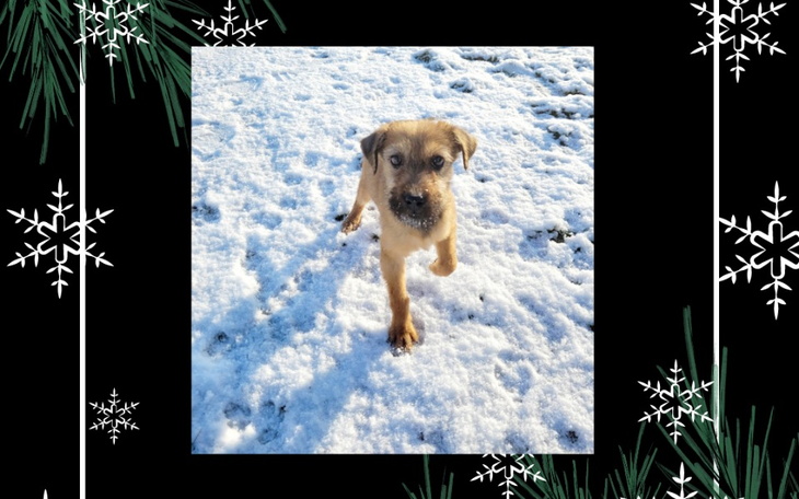 Zbiórka Na święta dla bezdomniaków - zdjęcie główne