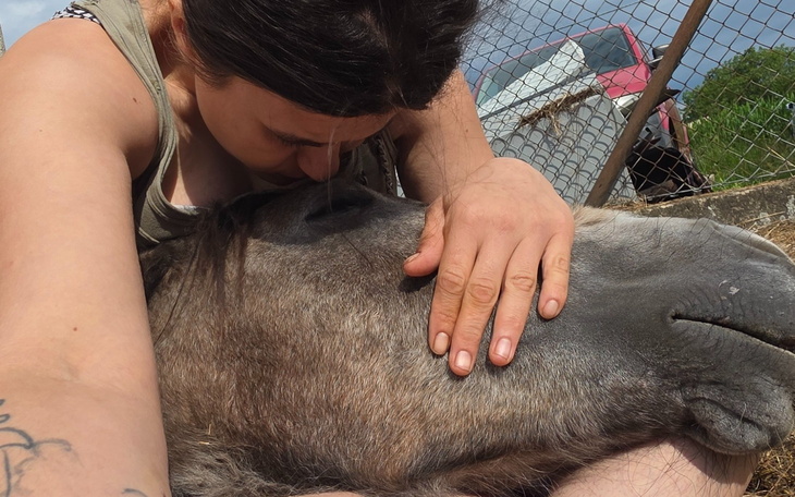 Kobieta przytulająca konia, wyrażająca czułość.