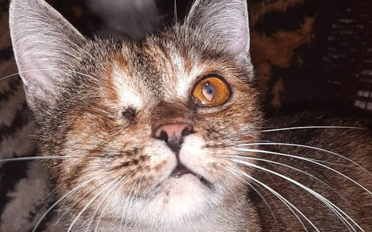 Zbiórka Proszę o grosik z całego serca - zdjęcie główne