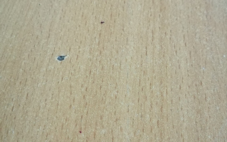 Zbiórka Bieda kierwa - zdjęcie główne