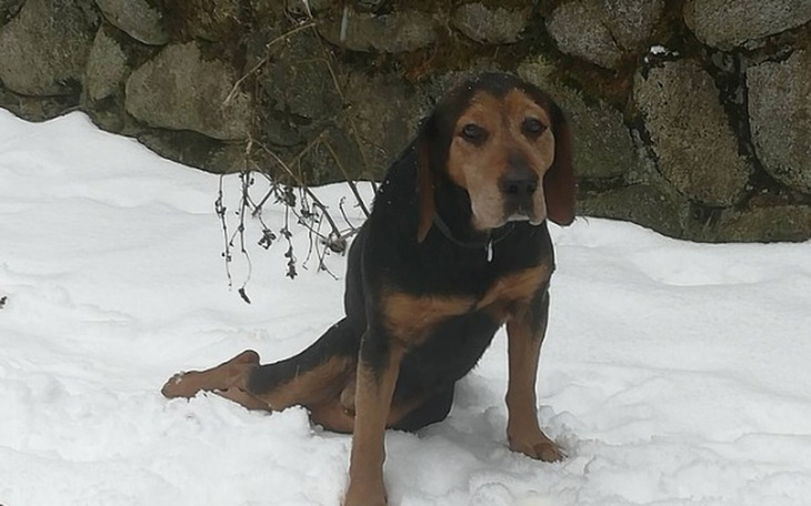 Zbiórka Dramat Karolka trwa nadal... - zdjęcie główne