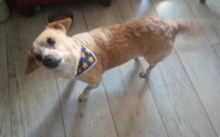 Zbiórka Nowe życie Bogusia - zdjęcie główne