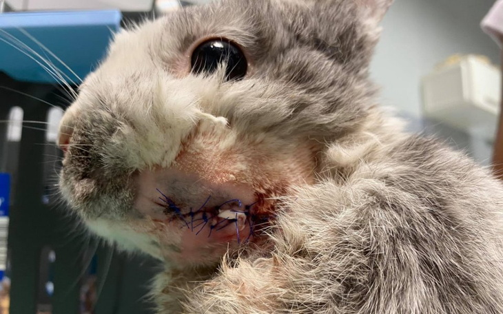 Zbiórka Pomóżmy Mariankowi - zdjęcie główne