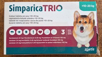 Zbiórka Długi za simparice - miniaturka zdjęcia