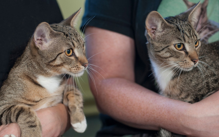 Zbiórka Mruczarnia - październik 2024 - zdjęcie główne