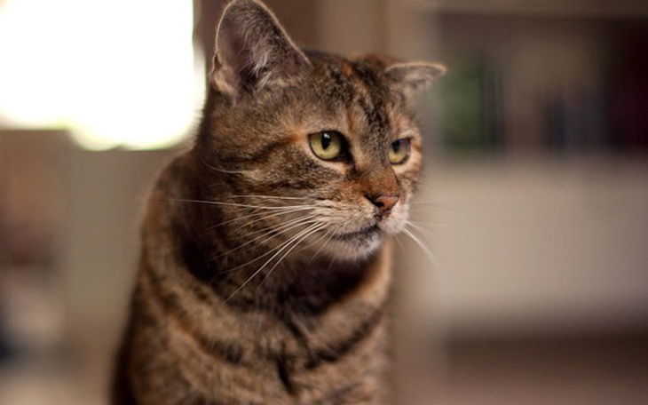 Zbiórka Koci dom spokojnej starosci - zdjęcie główne