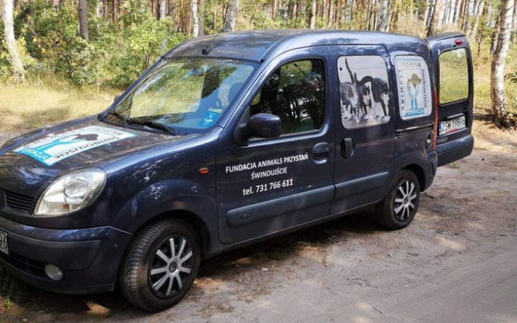 Zbiórka "Animals Bus" - NASZE 4 ŁAPY! - zdjęcie główne