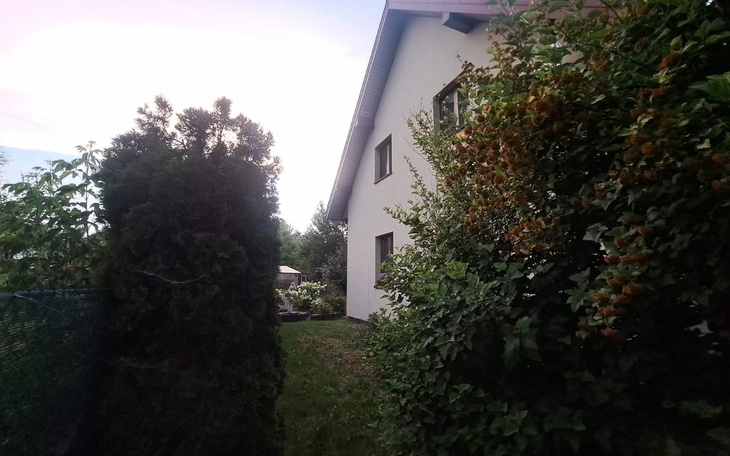 Podwórko domu z ogrodem, wysoka żywopłot i drzewa na tle domu.