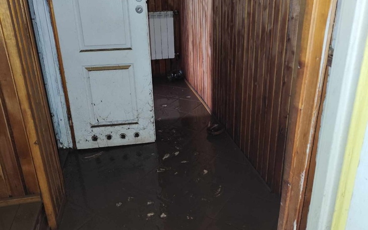 Zbiórka Alicja Ciapala - zdjęcie główne