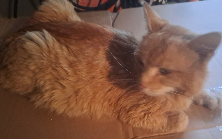 Zbiórka Wyścig po życie..Rudzik chcę żyć - zdjęcie główne