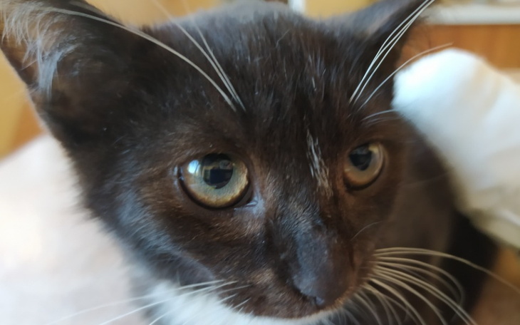 Zbiórka Uratuj moją nożkę - zdjęcie główne