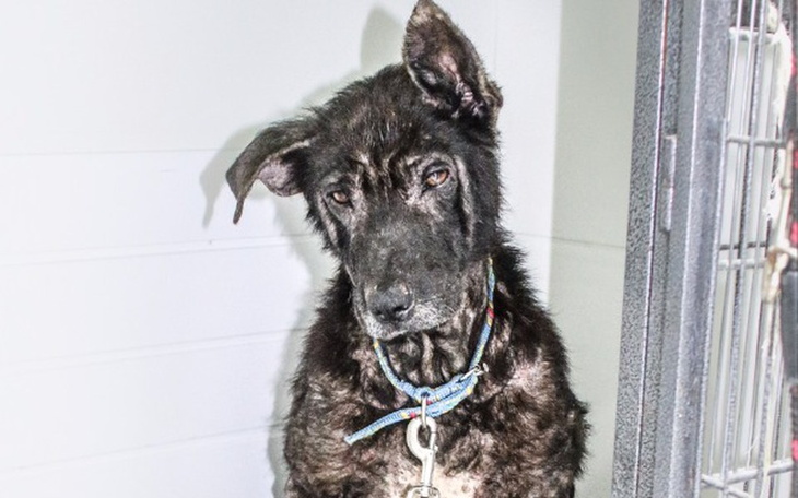 Zbiórka A człowiek tylko patrzył - zdjęcie główne