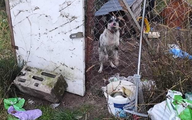 Zbiórka Zabierzcie mnie stąd... - zdjęcie główne